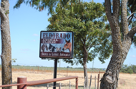 El dorado veterinary store clinic